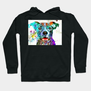 American Pit Bull Terrier Hoodie